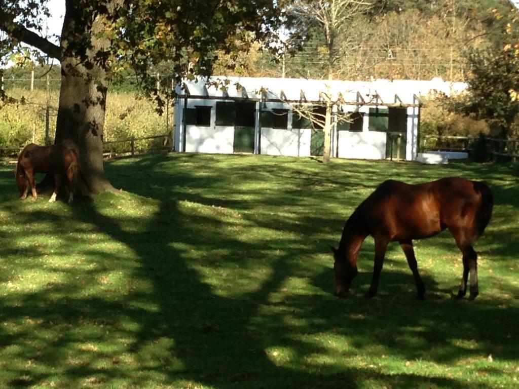Vredenhof Farm Cottage エルギン エクステリア 写真